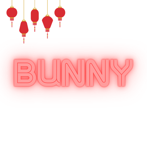 Bunny [LIMITED TIME]
