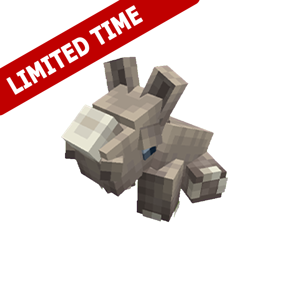 BusinessCraft | Pets